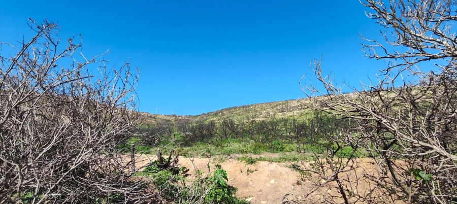 0 Bedroom Property for Sale in Vakansieplaas Western Cape